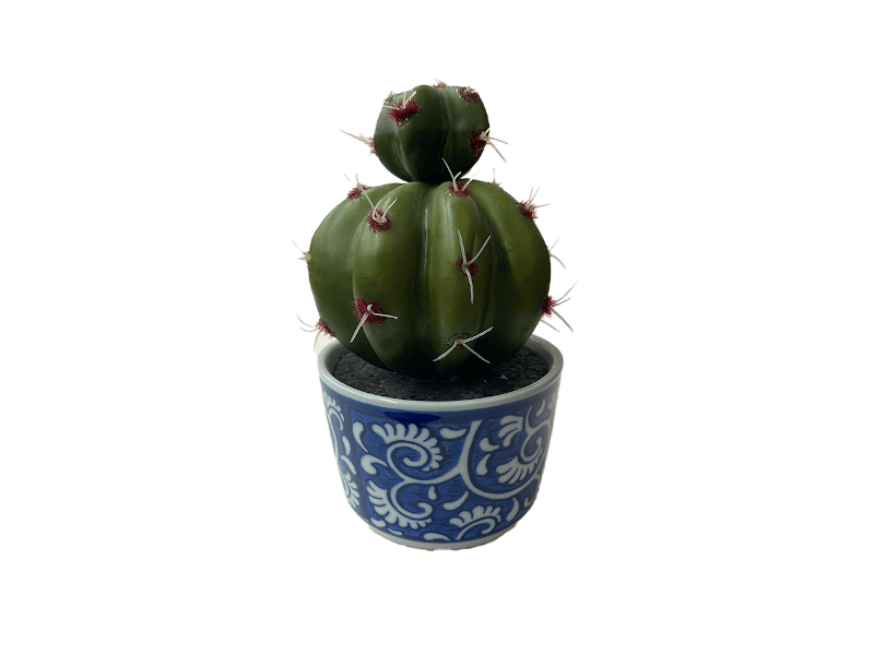 Maceta Cactus Talavera