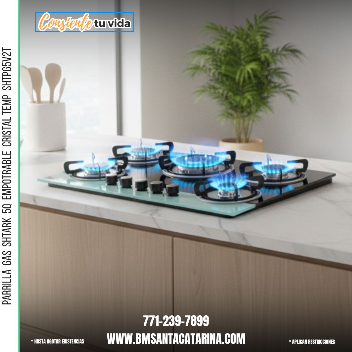 PARRILLA  GAS  SHTARK  5Q  EMPOTRABLE  CRISTAL TEMP  SHTPG5V2T