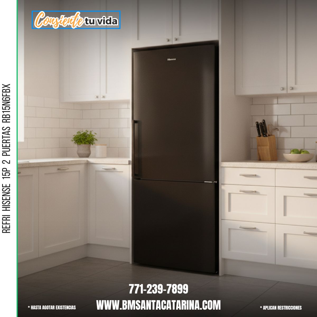 REFRI  HISENSE  15P  2  PuerTAS  RB15N6FBX